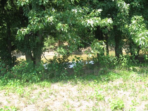 Property photo 25 - 27 Acres offered in 2 Tracts or Combination, Former U.A.W. Hall